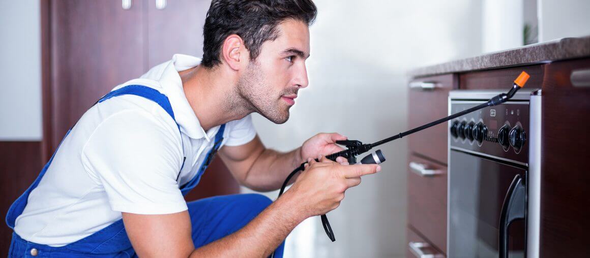 Factors to Consider When Choosing a Pest Control Company